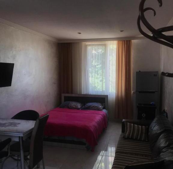 تختخواب و صبحانه уютная студия Maksim