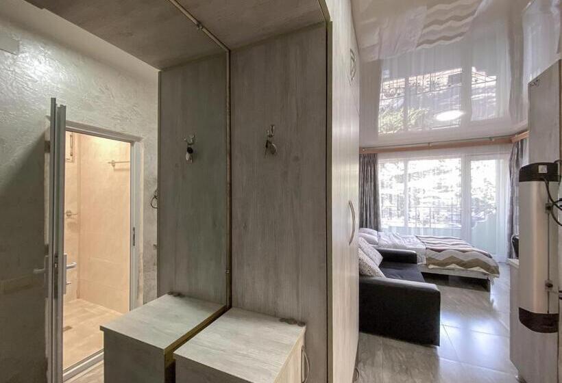 تختخواب و صبحانه уютная студия Maksim