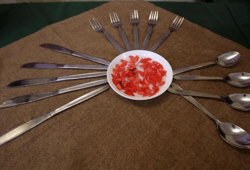 ホテル Mpt White Tiger Forest Lodge