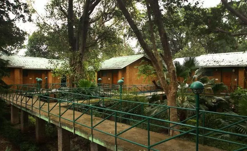 Hotelli Mpt White Tiger Forest Lodge