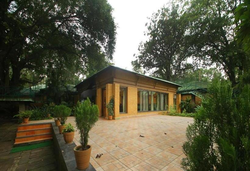 ホテル Mpt White Tiger Forest Lodge