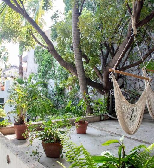 بنسيون Casa Daikiri