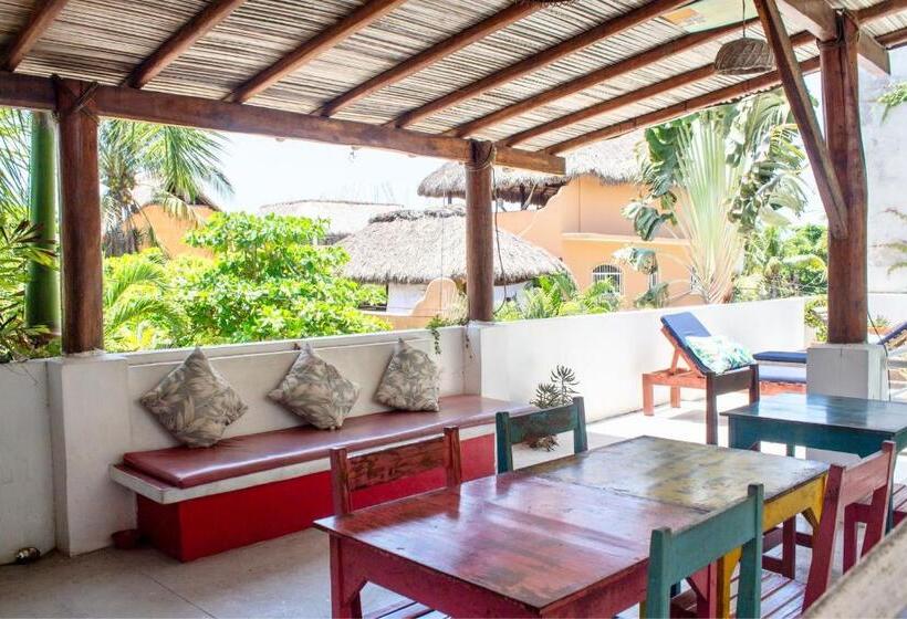 بنسيون Casa Daikiri