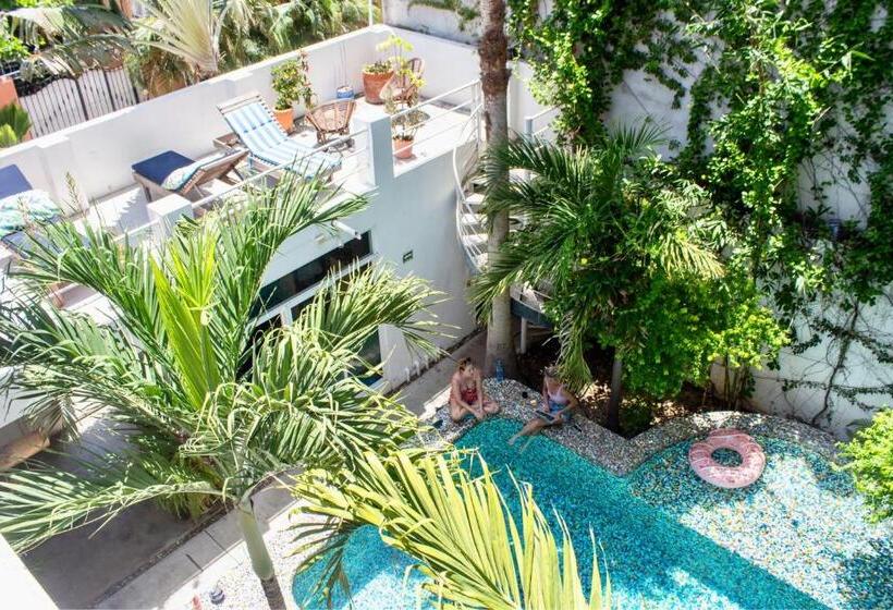 بنسيون Casa Daikiri