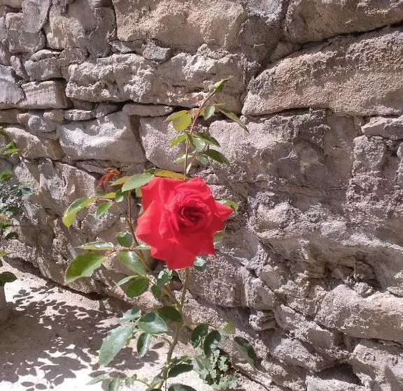 پانسیون Guest House Gurkov