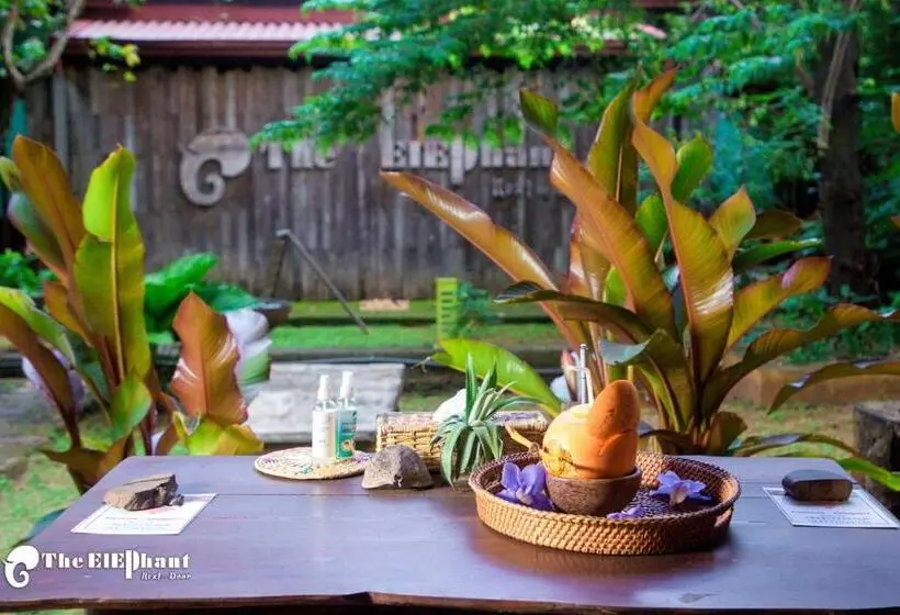 Majatalo The Elephant Next Door