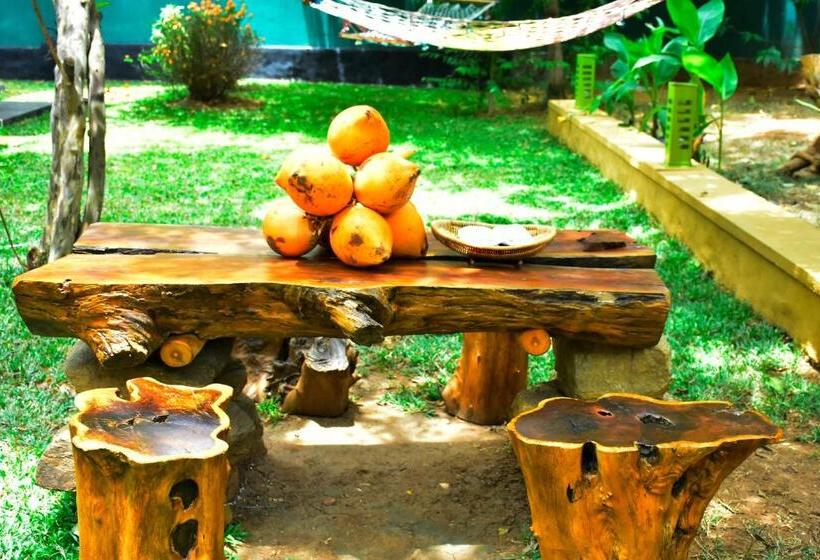 Pensionat The Elephant Next Door