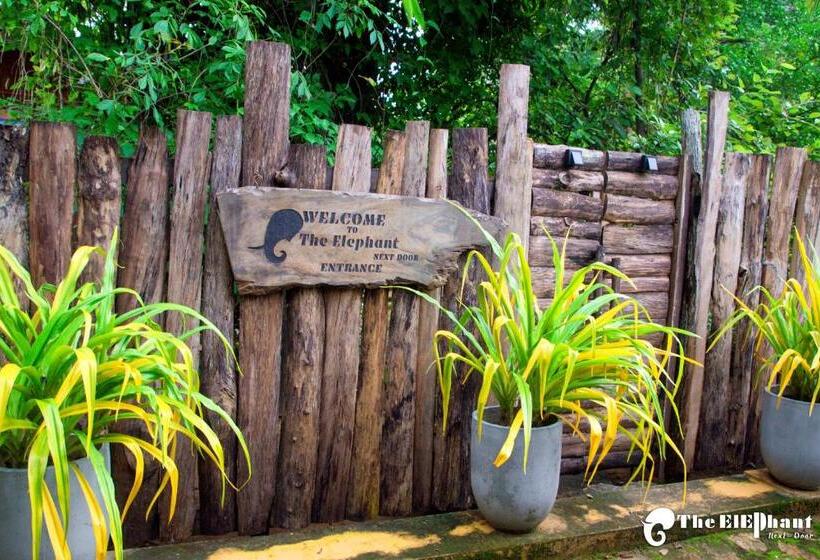 Pensionat The Elephant Next Door