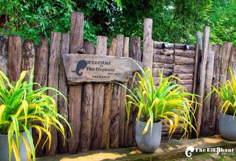 Majatalo The Elephant Next Door