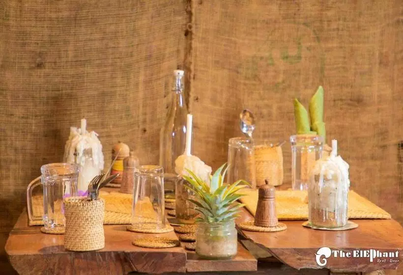 Majatalo The Elephant Next Door