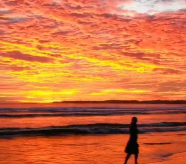 پانسیون Villa The Leaf