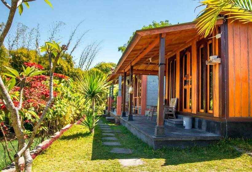 Black Lava Hostel And Lodge