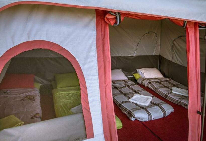 Black Lava Hostel And Lodge