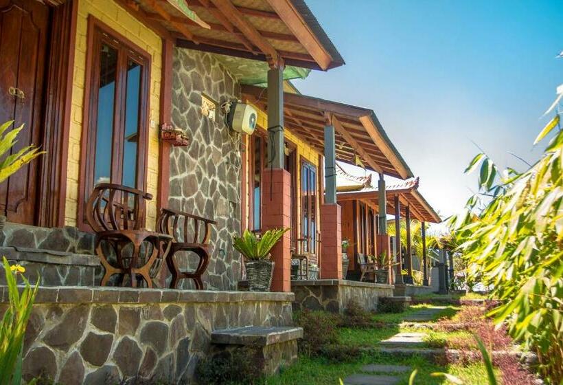 Black Lava Hostel And Lodge