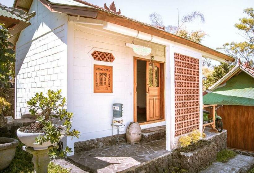 Black Lava Hostel And Lodge