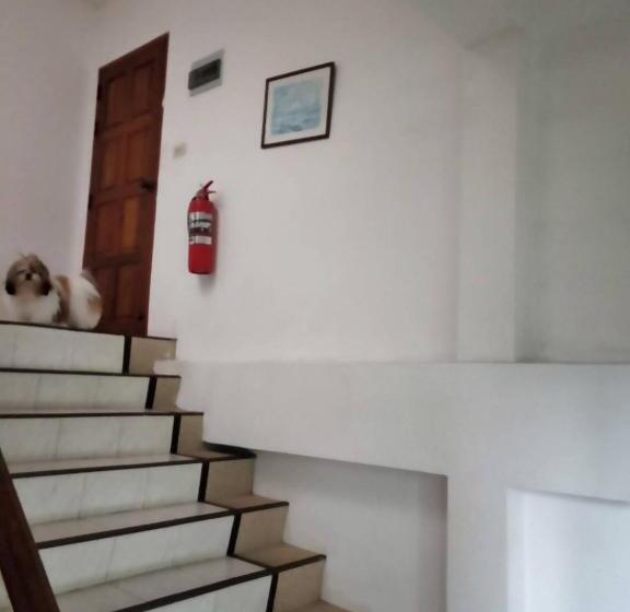 Hotelli Ban Elephant Blanc Apartment