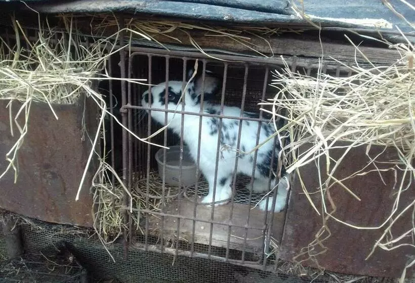 ペンション Aghasu Tun B&b