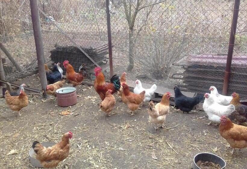 Pensão Aghasu Tun B&b