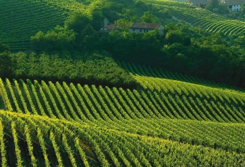 Majatalo Blueberry Rooms