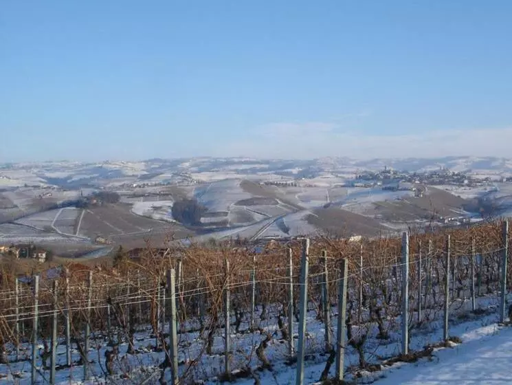 Majatalo Blueberry Rooms