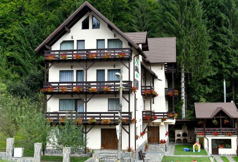 פנסיון Casa Tad