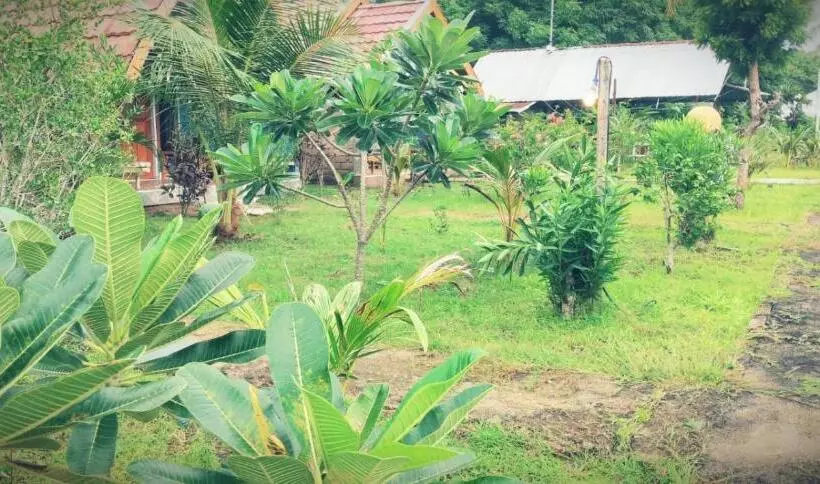 ペンション Dinoyin Bungalows