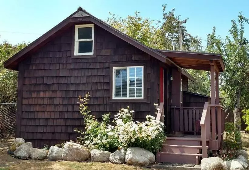 ペンション Jones Cabin