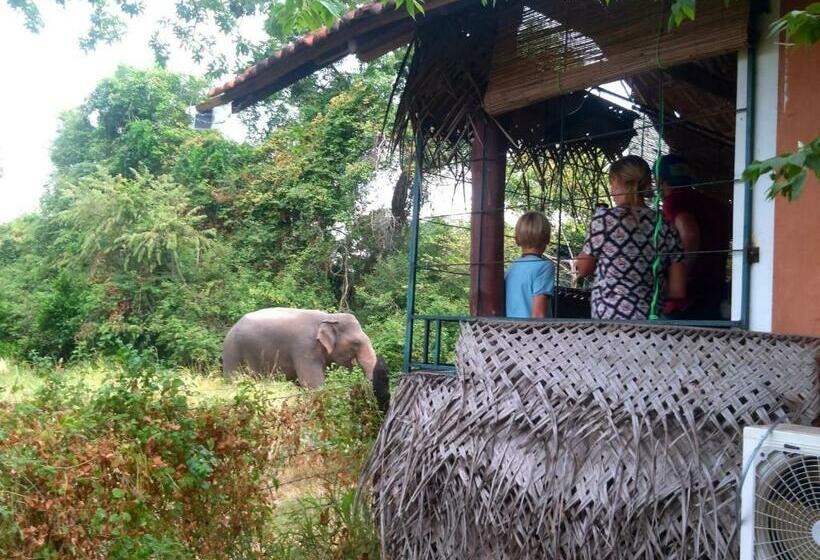 ペンション Lake Cabin
