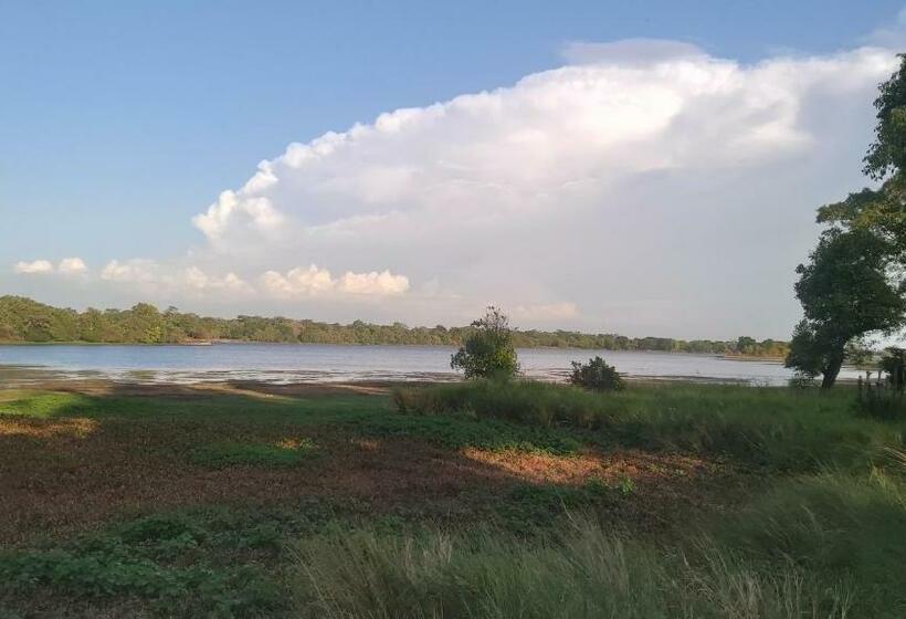 ペンション Lake Cabin