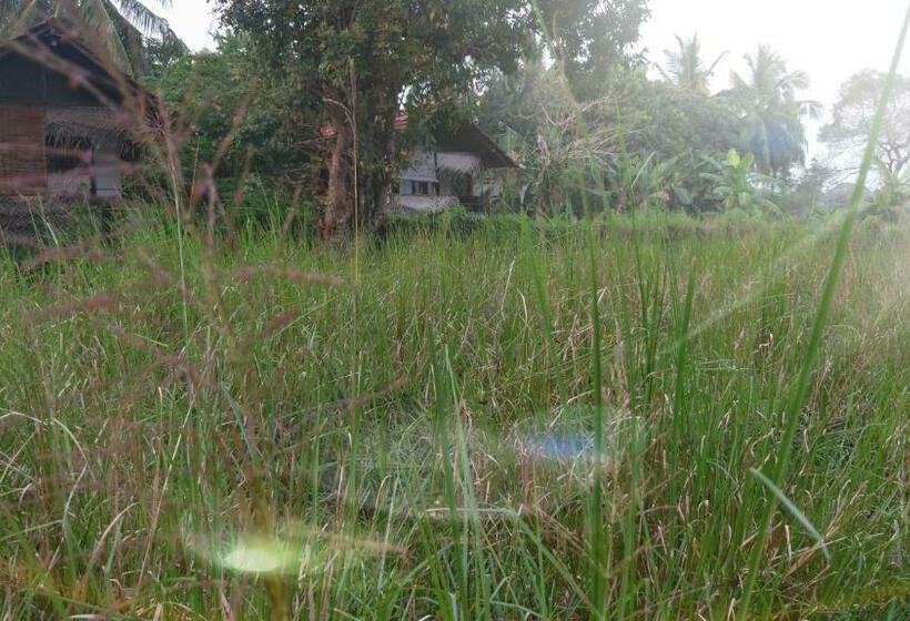 ペンション Lake Cabin