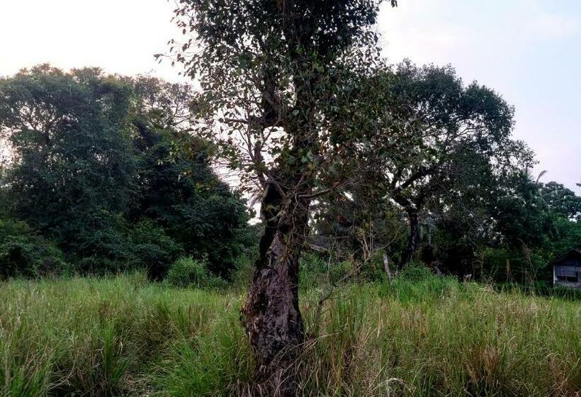 ペンション Lake Cabin
