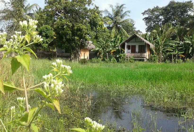 ペンション Lake Cabin