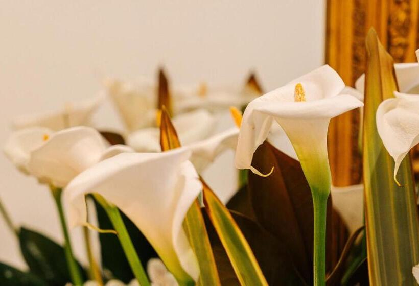 膳宿费 Oblò Portovenere Guesthouse