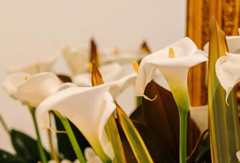 Majatalo Oblò Portovenere Guesthouse