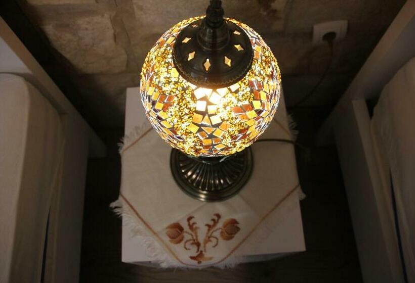 پانسیون Pansion Infinity