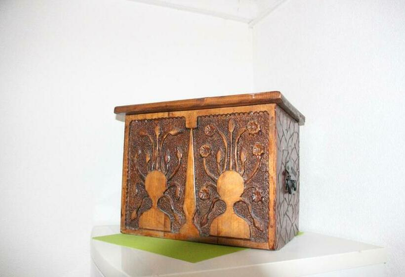 پانسیون Pansion Infinity