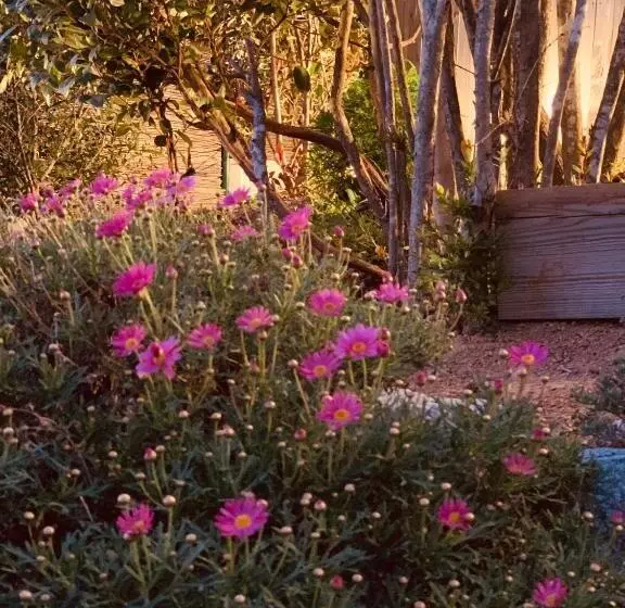 Majatalo Senteurs Du Maquis