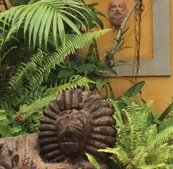 ペンション Villa Paradiso Pousada