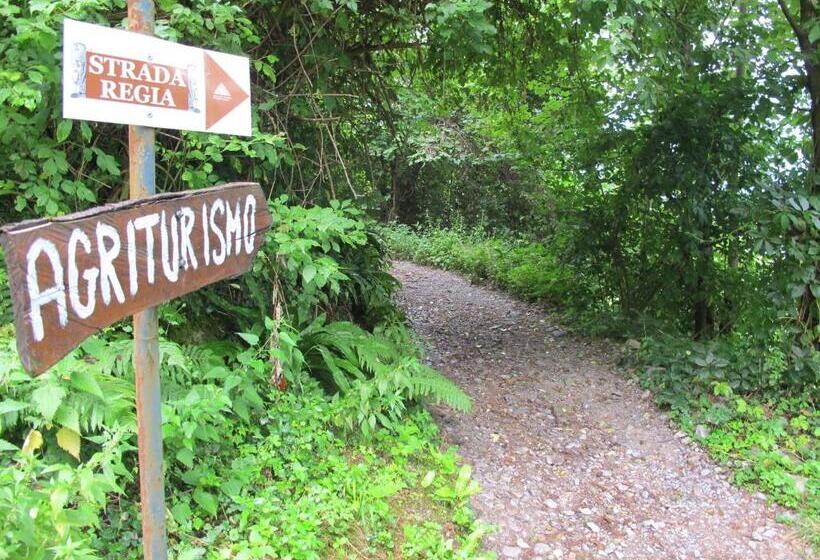 ホテル Agriturismo Madonna Dei Ceppi