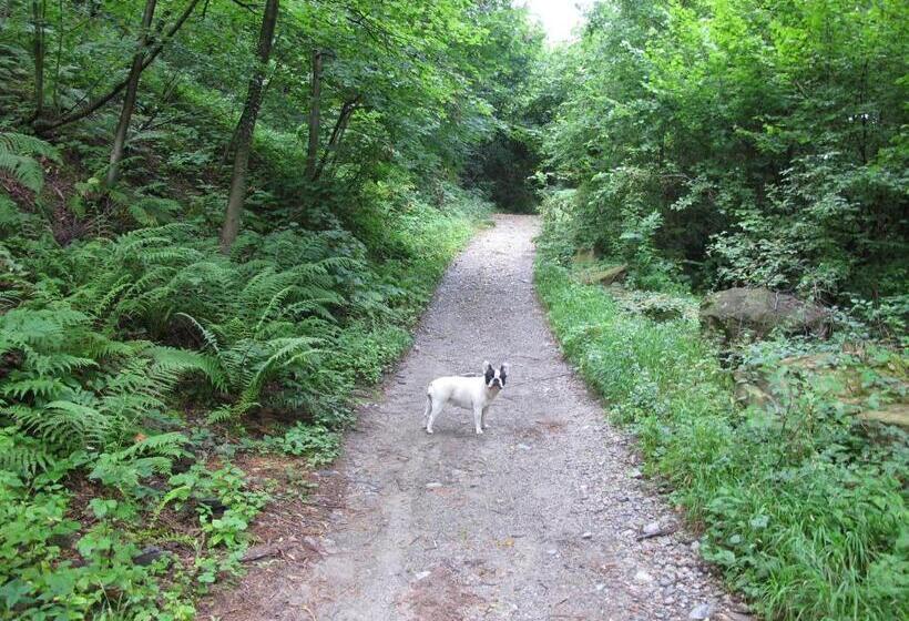 ホテル Agriturismo Madonna Dei Ceppi