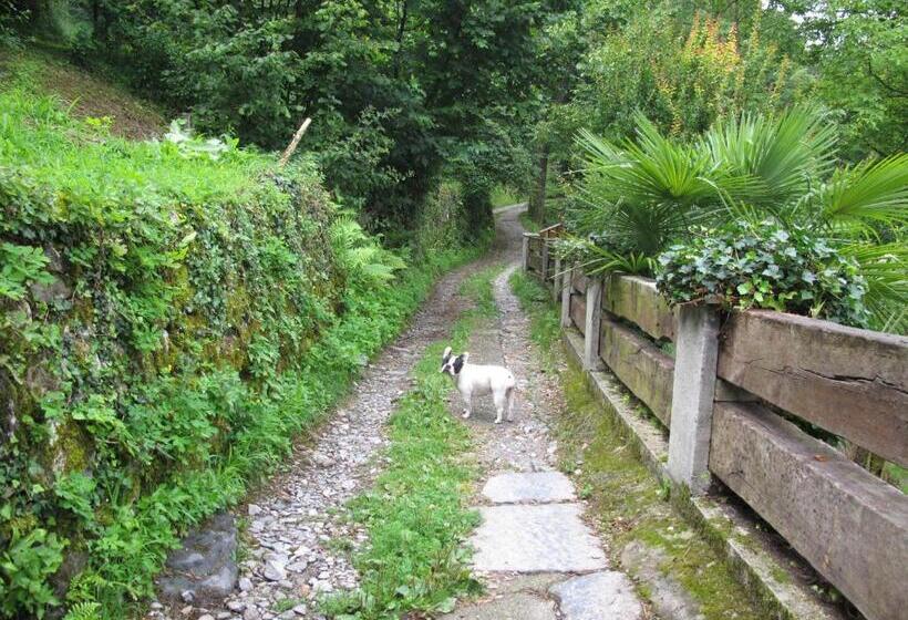 ホテル Agriturismo Madonna Dei Ceppi