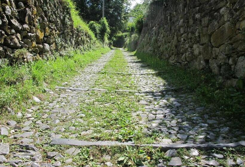 ホテル Agriturismo Madonna Dei Ceppi
