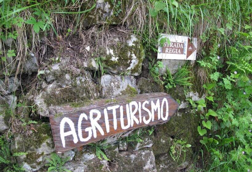 ホテル Agriturismo Madonna Dei Ceppi