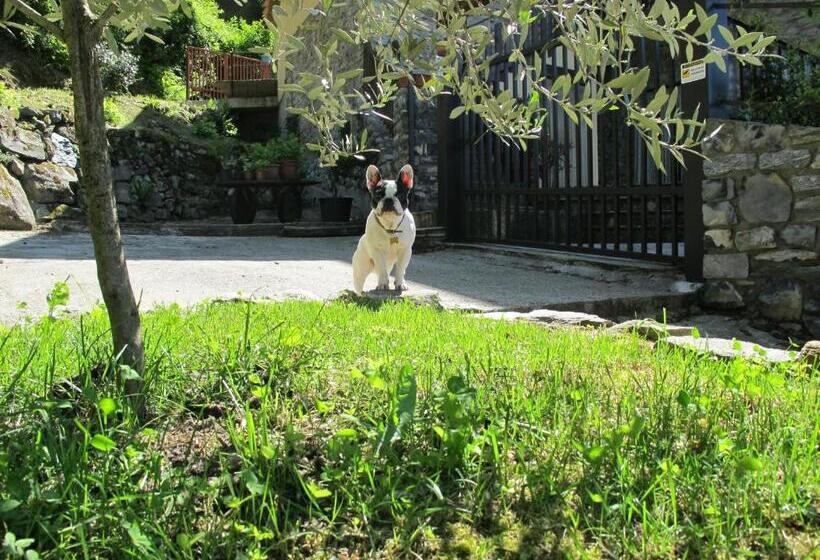 ホテル Agriturismo Madonna Dei Ceppi