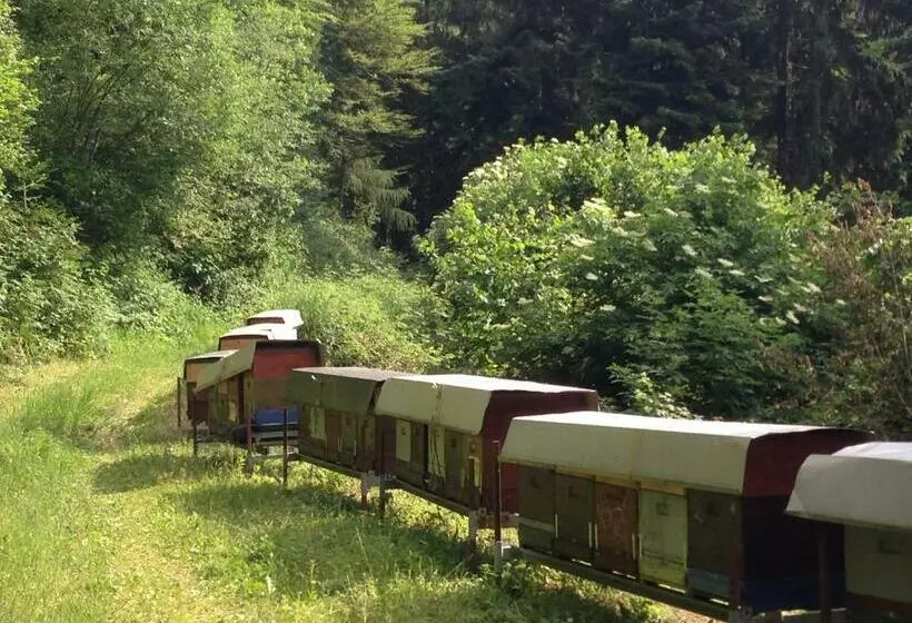 ホテル Agriturismo Maso Grener