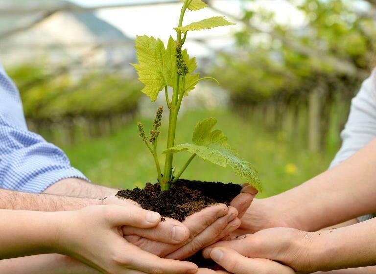 فندق Agriturismo Maso Grener