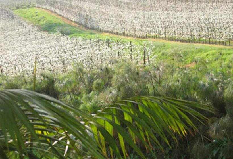 בית מלון כפרי La Terra De Luc