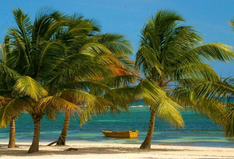 پانسیون Bayahibe Guest House