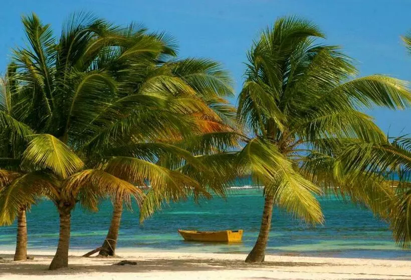 پانسیون Bayahibe Guest House