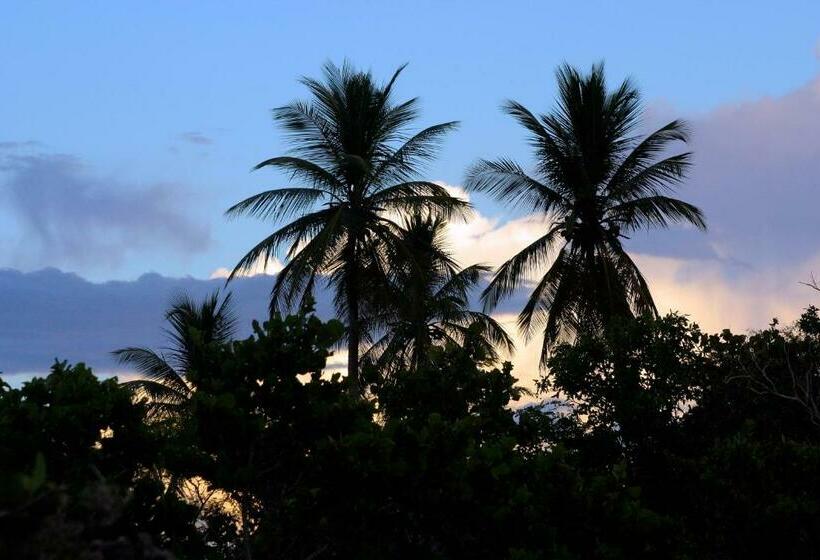 پانسیون Bayahibe Guest House